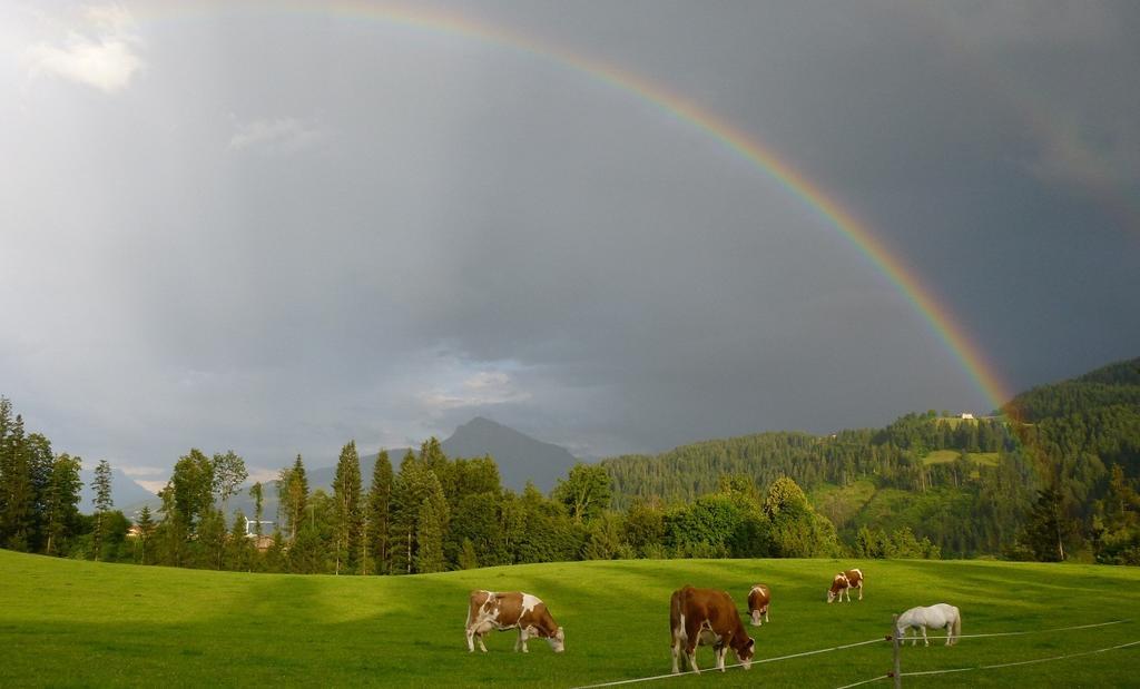 Hotel Pension Sunnbichl Going am Wilden Kaiser Exterior foto