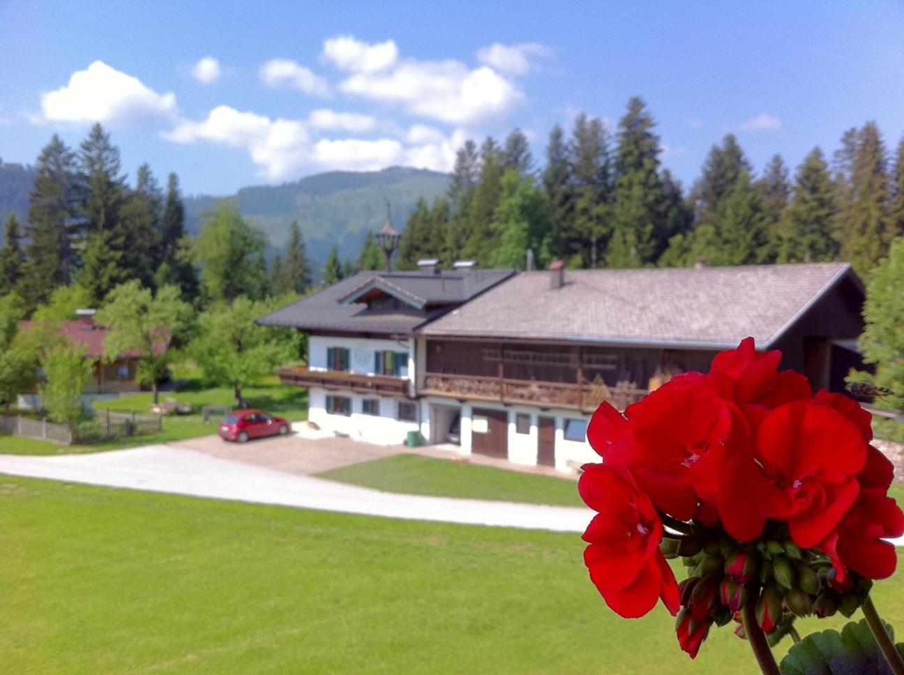 Hotel Pension Sunnbichl Going am Wilden Kaiser Exterior foto